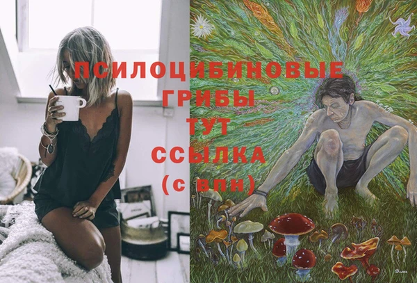 бошки Заводоуковск