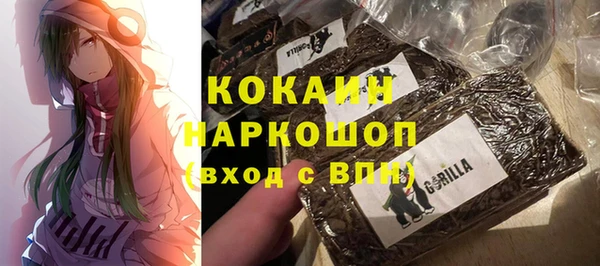 spice Чегем