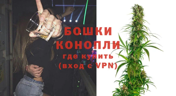 бошки Заводоуковск