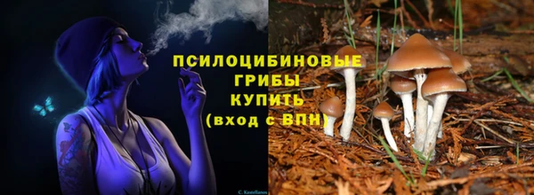 бошки Заводоуковск