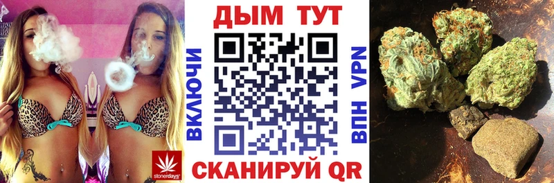 Канабис конопля  наркотики  Славск 